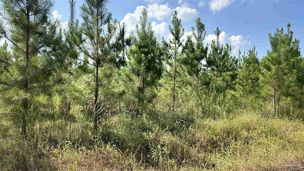 3.88 Acres of Residential Land for Sale in Milton, Florida