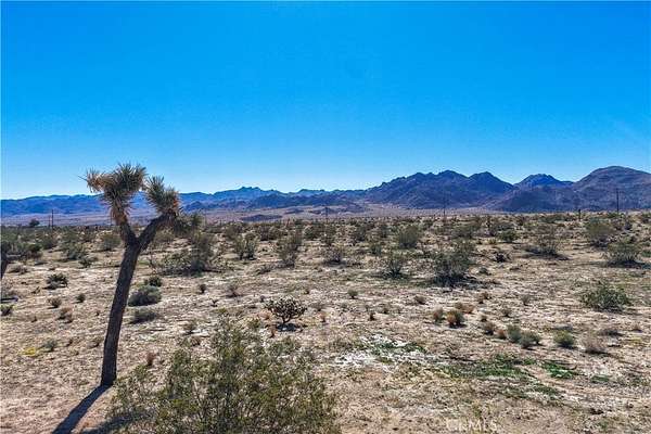 0.41 Acres of Residential Land for Sale in Joshua Tree, California