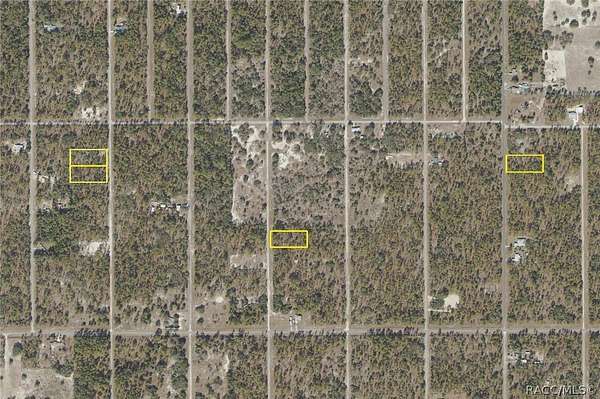 7 Acres of Residential Land for Sale in Dunnellon, Florida