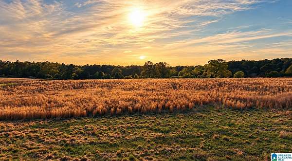 135 Acres of Recreational & Residential Land for Sale in Talladega, Alabama