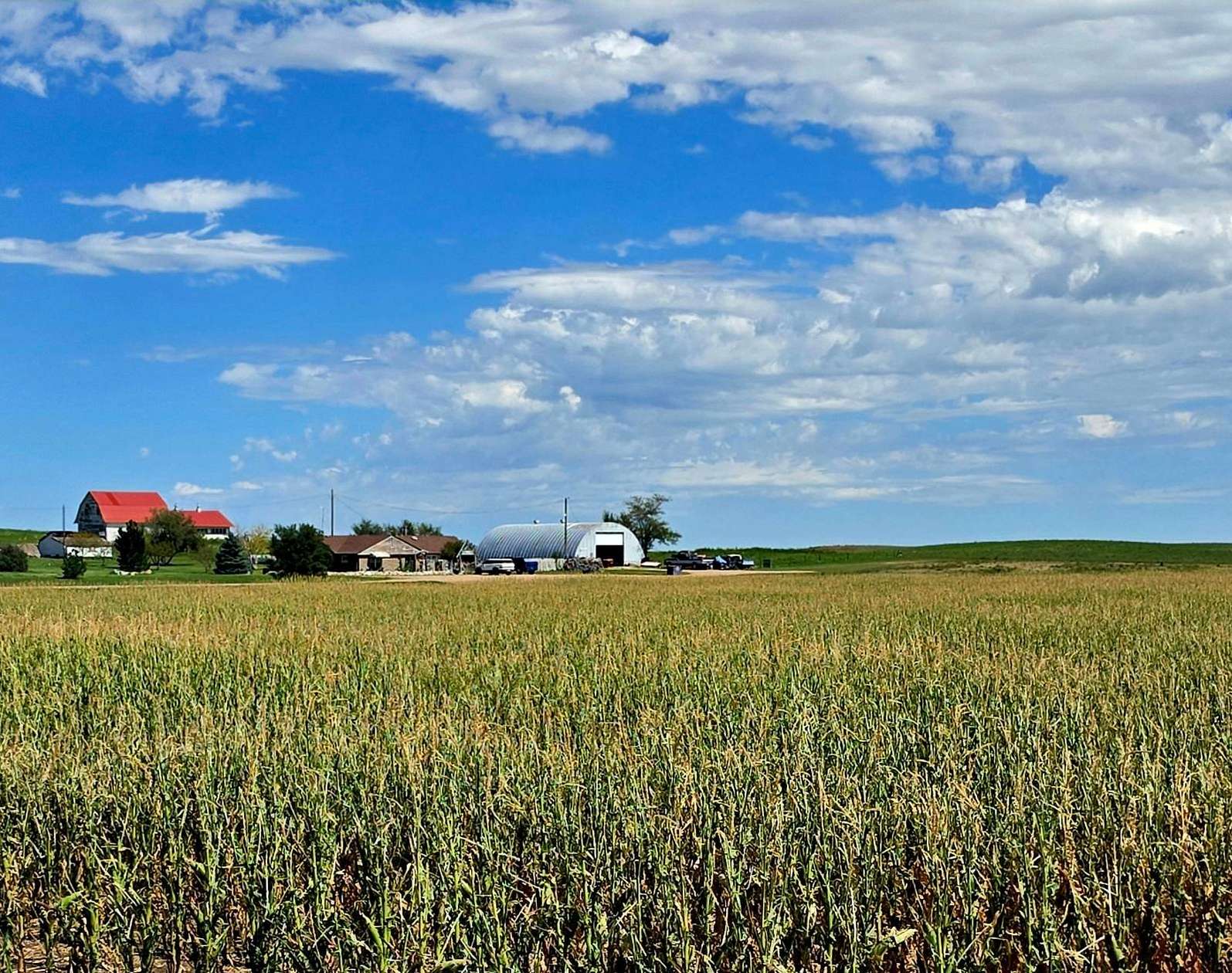308 Acres of Improved Land for Sale in Potter, Nebraska
