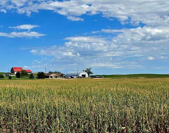308 Acres of Improved Land for Sale in Potter, Nebraska