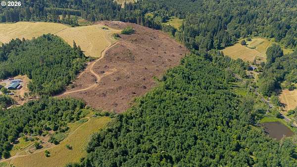 32.3 Acres of Land for Sale in Rainier, Oregon