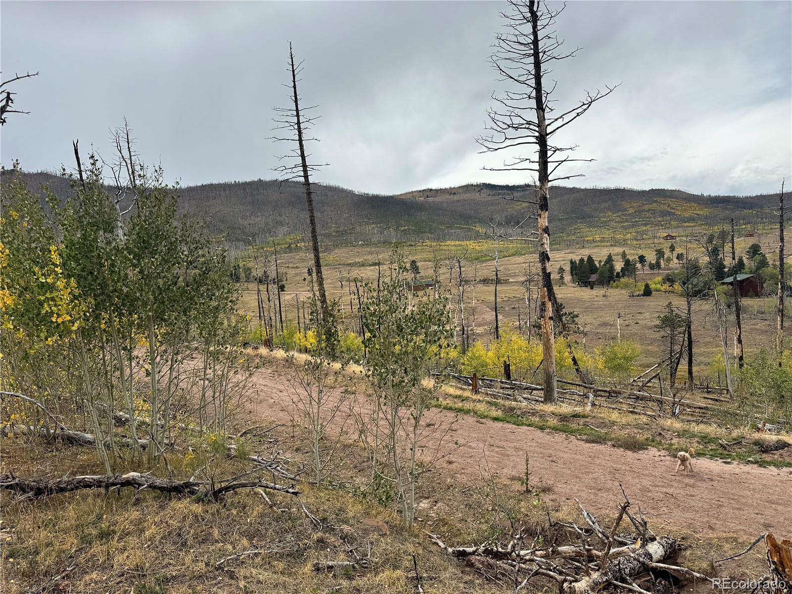 1.17 Acres of Residential Land for Sale in Fort Garland, Colorado