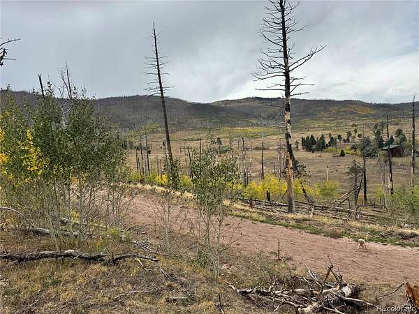 1.17 Acres of Residential Land for Sale in Fort Garland, Colorado