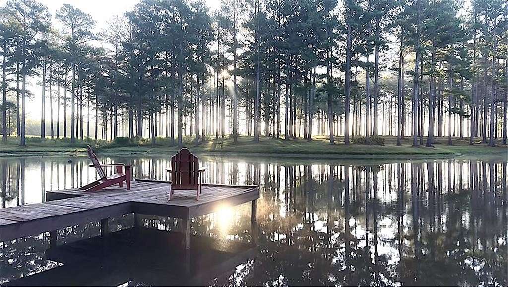 113 Acres of Improved Land for Sale in Greenville, Alabama