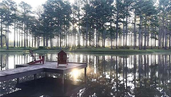 113 Acres of Improved Land for Sale in Greenville, Alabama