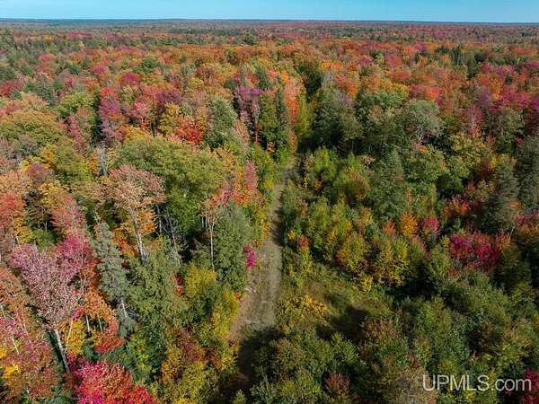 316 Acres of Recreational Land for Sale in Covington, Michigan