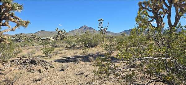 1 Acre of Residential Land for Sale in Dolan Springs, Arizona