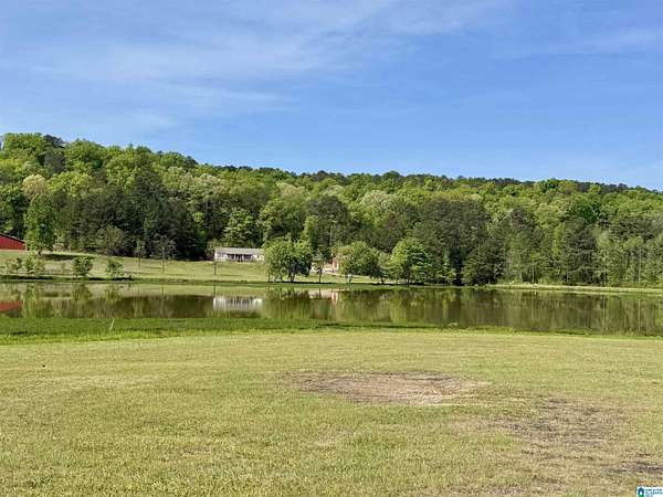 15.7 Acres of Land with Home for Sale in Morris, Alabama