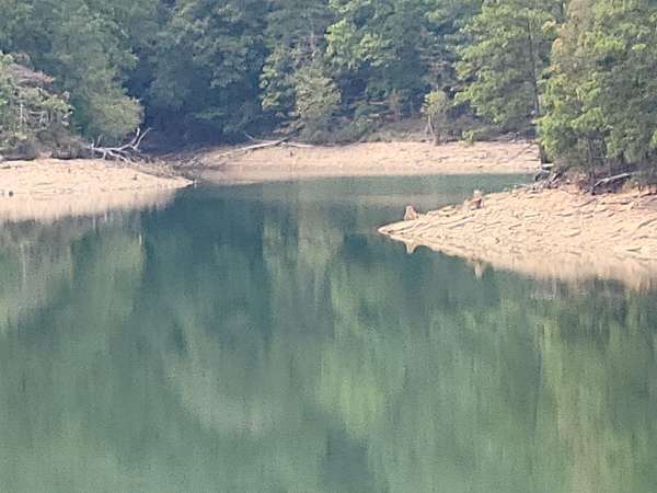 20 Acres of Land for Sale in Houston, Alabama