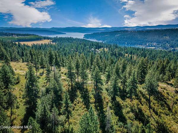 20 Acres of Recreational & Residential Land for Sale in Coeur d'Alene, Idaho