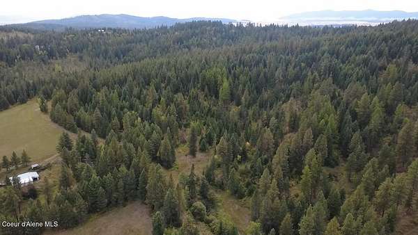 25.5 Acres of Recreational & Residential Land for Sale in Plummer, Idaho