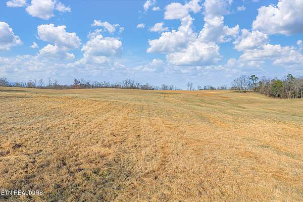 52 Acres of Land for Sale in Strawberry Plains, Tennessee