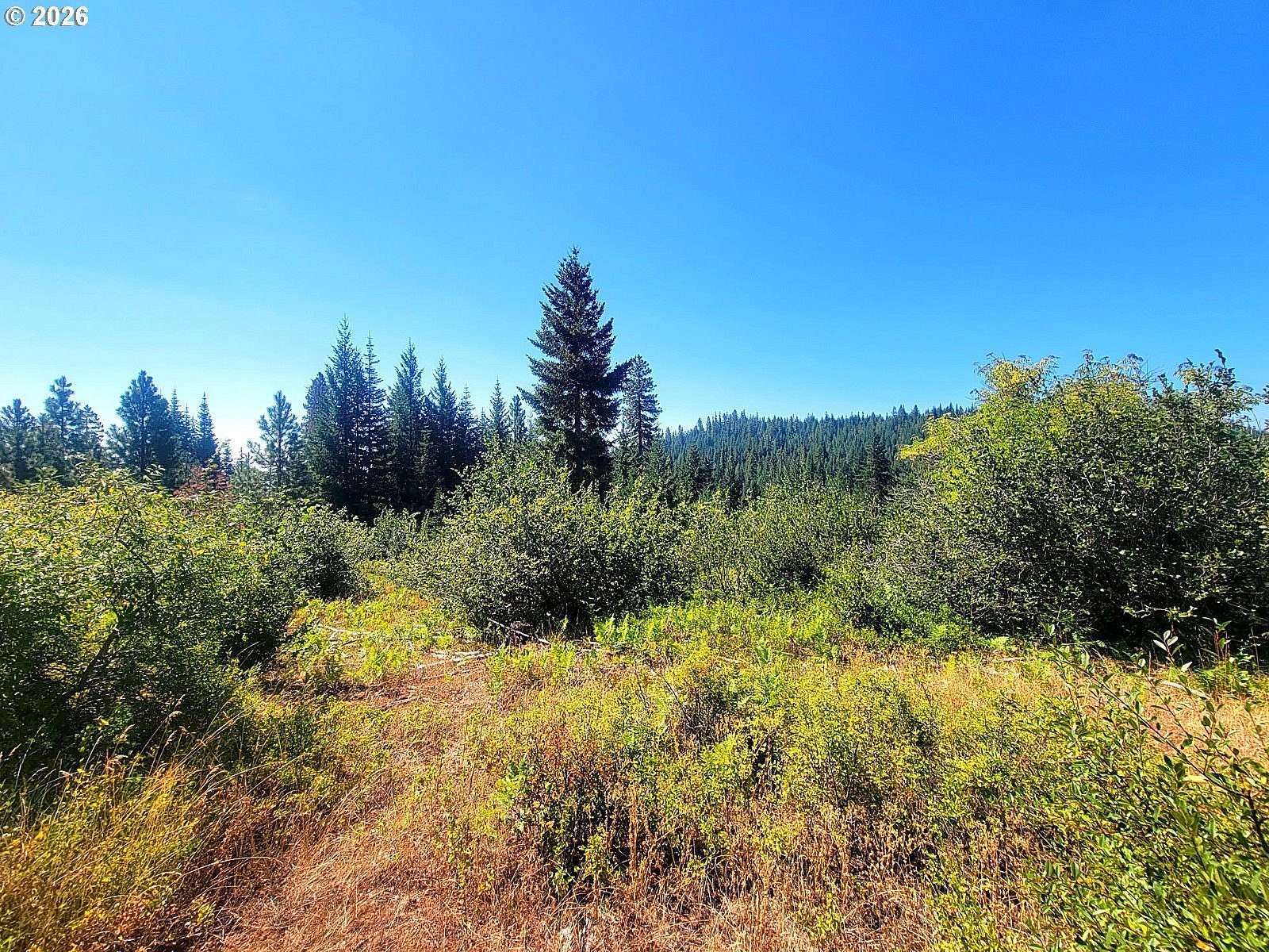183 Acres of Land for Sale in Goldendale, Washington