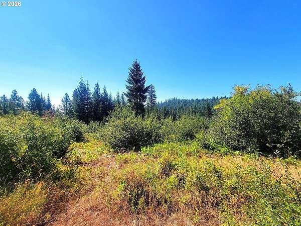 183 Acres of Land for Sale in Goldendale, Washington