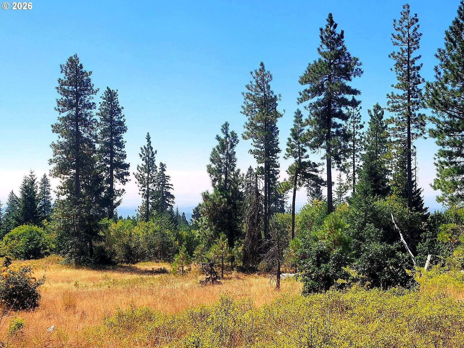 173 Acres of Land for Sale in Goldendale, Washington