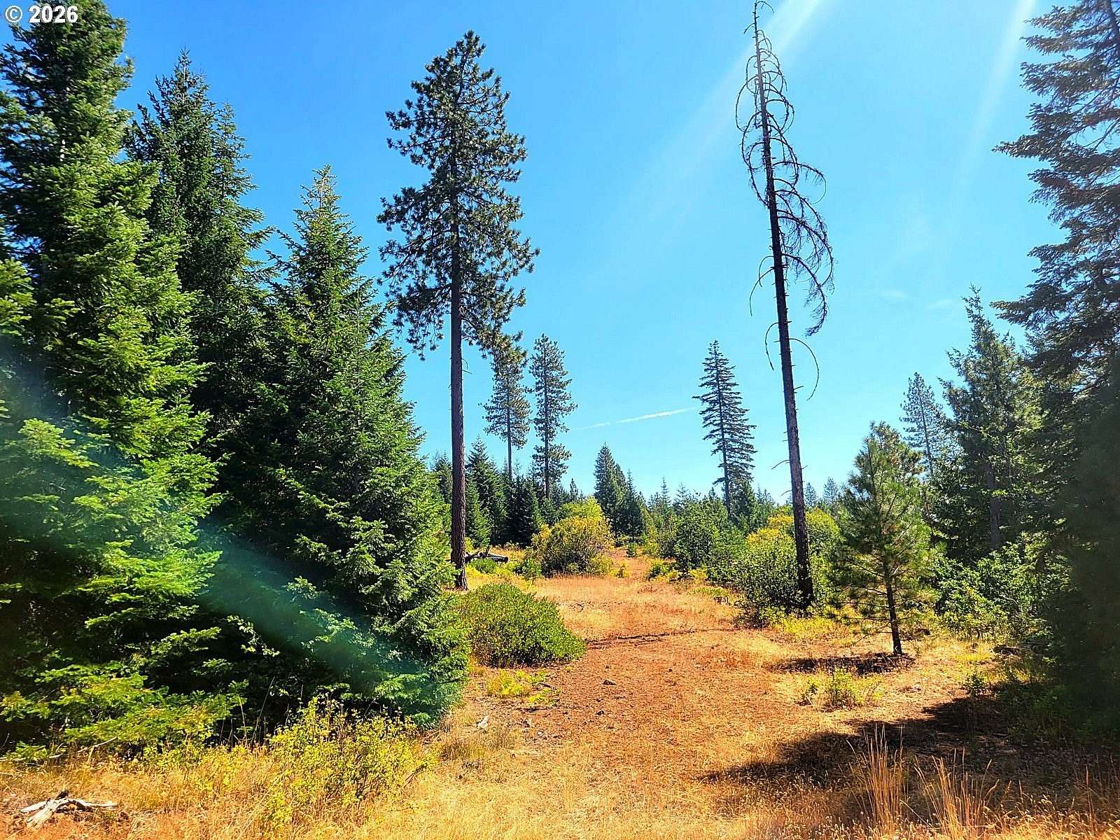 191 Acres of Land for Sale in Goldendale, Washington