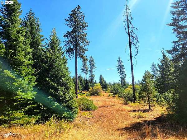 191 Acres of Land for Sale in Goldendale, Washington