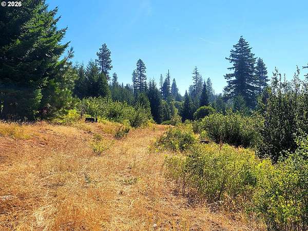 536 Acres of Recreational Land for Sale in Goldendale, Washington