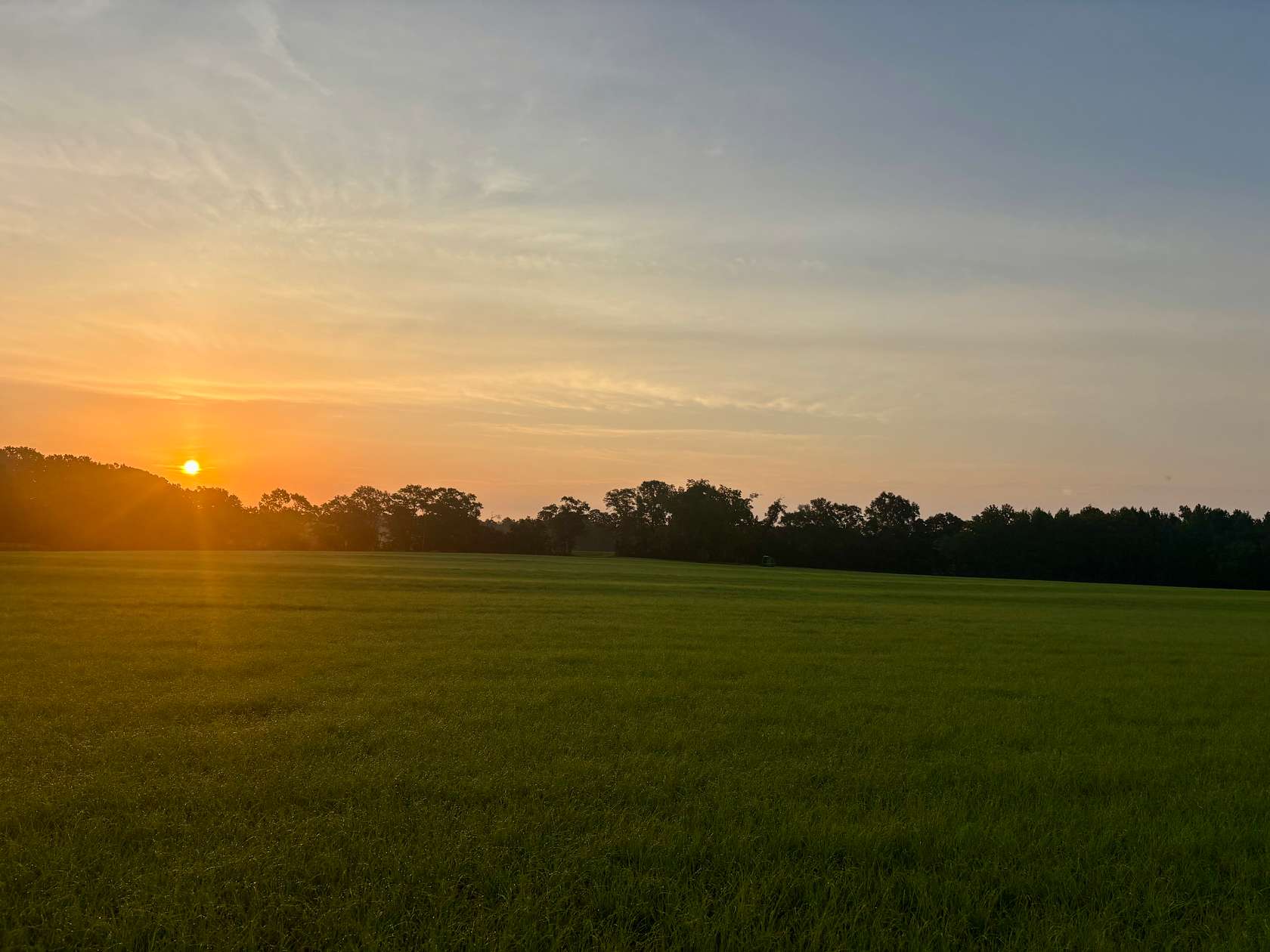 14.2 Acres of Land for Sale in Hartford, Alabama