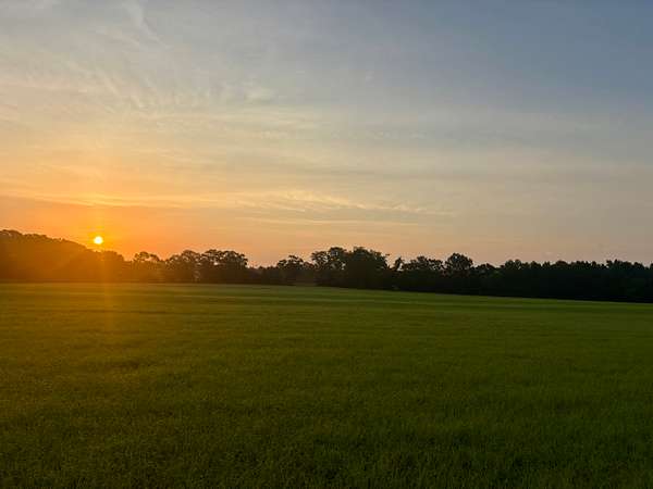 14.2 Acres of Land for Sale in Hartford, Alabama