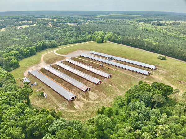26.7 Acres of Land for Sale in Black, Alabama
