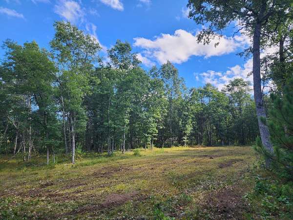 11.5 Acres of Land for Sale in Irons, Michigan