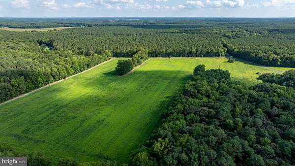 104 Acres of Land for Sale in Laurel, Delaware
