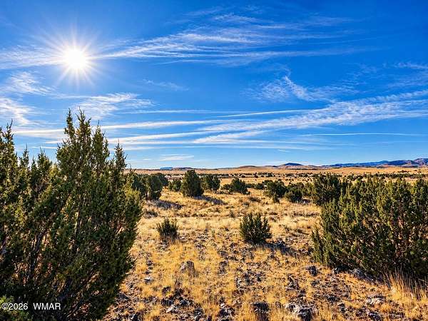 36.5 Acres of Recreational Land for Sale in Concho, Arizona