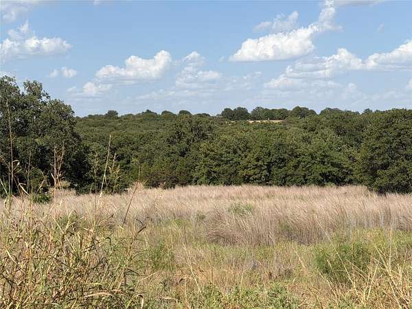 5.77 Acres of Land for Sale in Perrin, Texas