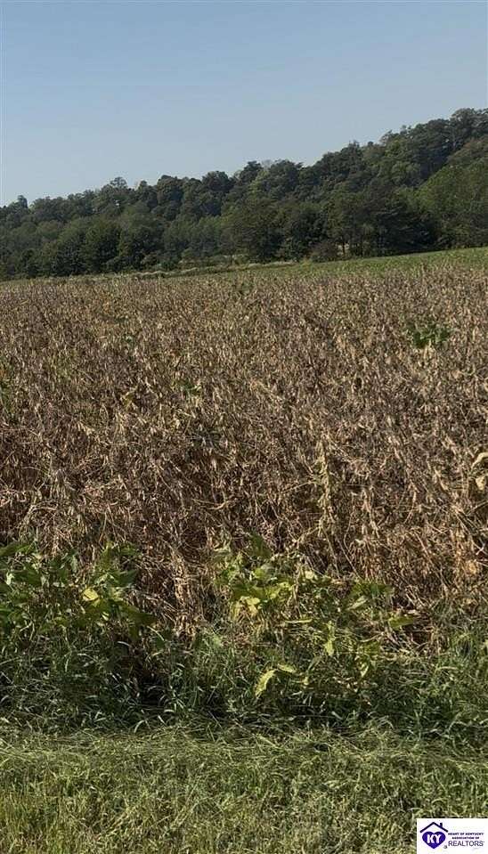 1.3 Acres of Residential Land for Sale in Campbellsville, Kentucky