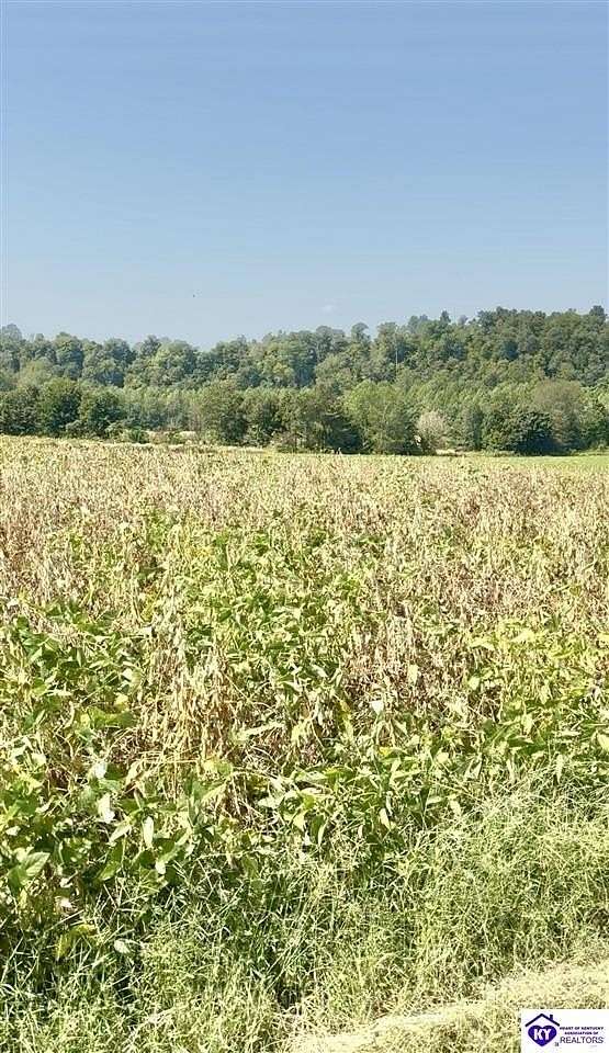2 Acres of Residential Land for Sale in Campbellsville, Kentucky
