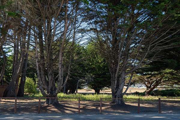 0.29 Acres of Residential Land for Sale in Half Moon Bay, California