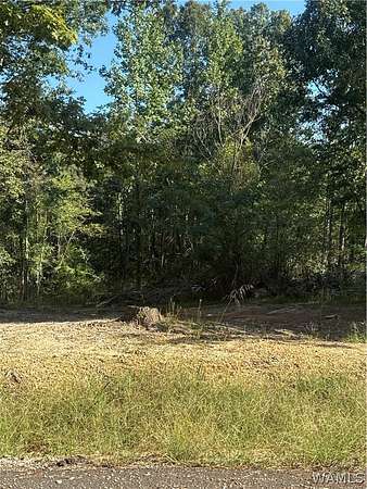 2 Acres of Land for Sale in Cottondale, Alabama