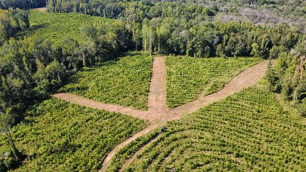 200 Acres of Recreational Land for Sale in Louisville, Alabama