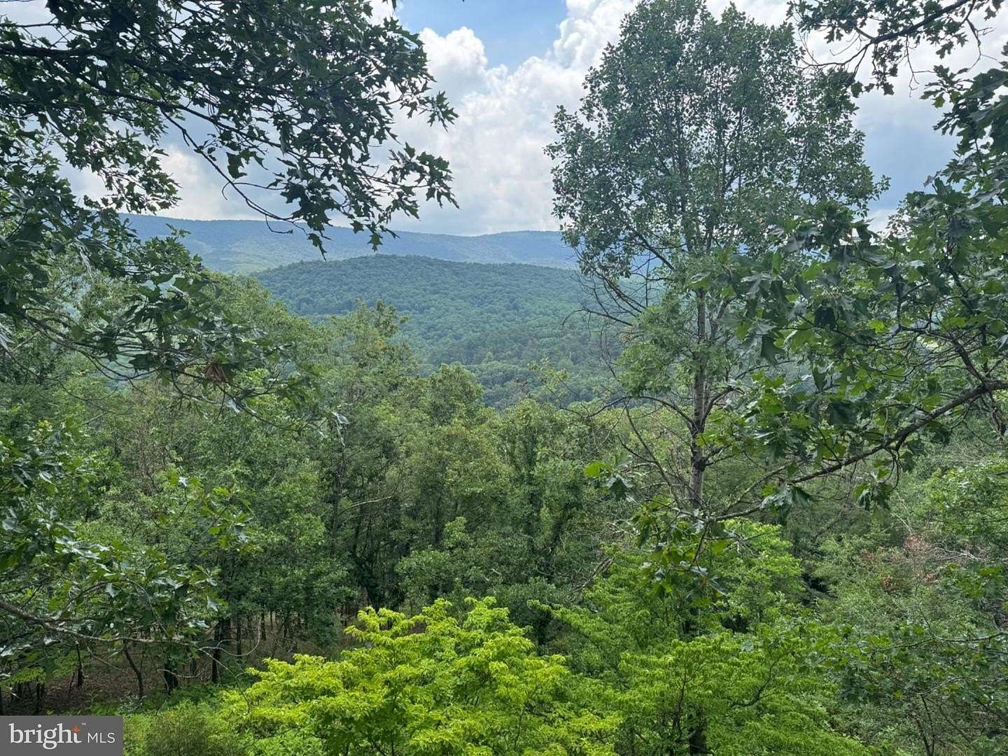 17.2 Acres of Recreational & Residential Land for Sale in Paw Paw, West Virginia