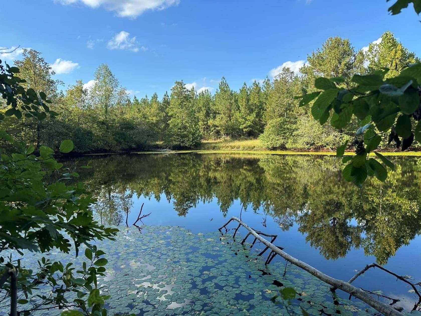 140 Acres of Recreational Land for Sale in Arvonia, Virginia