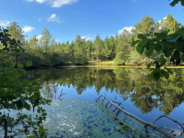 140 Acres of Recreational Land for Sale in Arvonia, Virginia