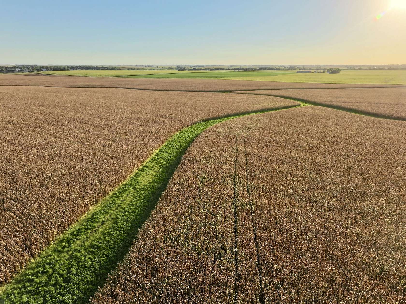 160 Acres of Land for Auction in Lake City, Iowa