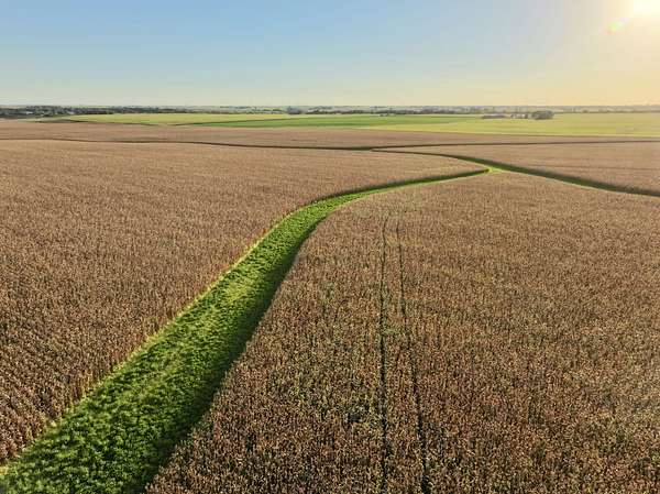 160 Acres of Land for Auction in Lake City, Iowa