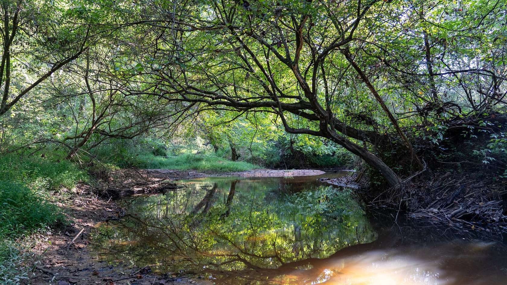 412 Acres of Recreational Land for Sale in Fruithurst, Alabama
