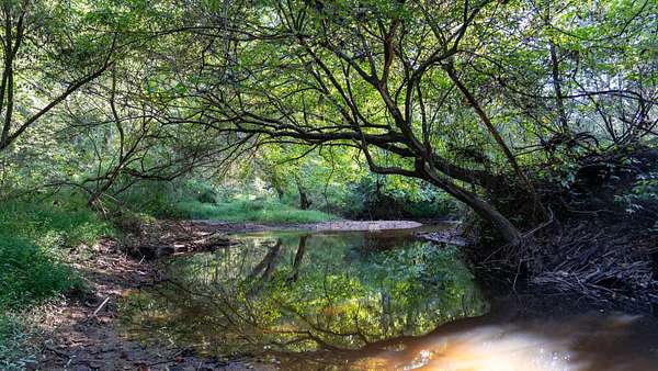 412 Acres of Recreational Land for Sale in Fruithurst, Alabama