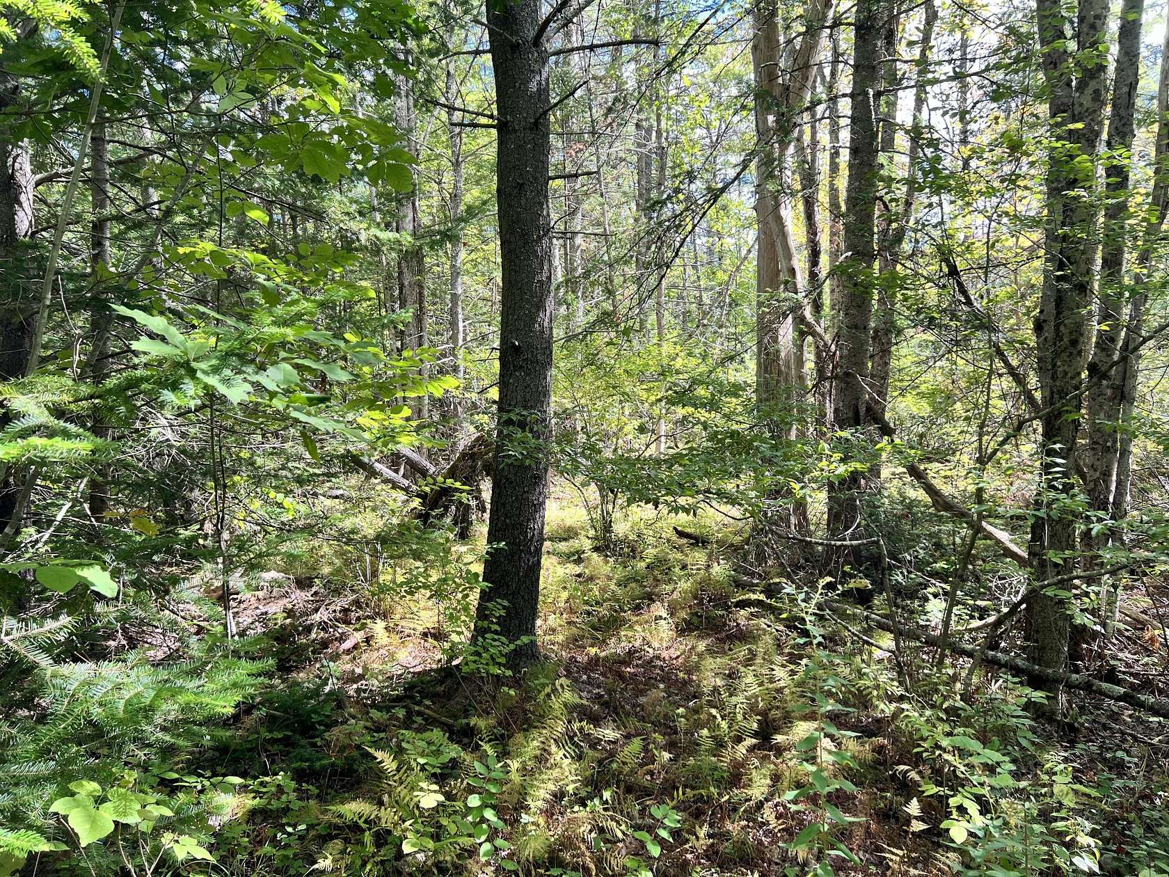 1 Acre of Residential Land for Sale in Bowdoinham, Maine
