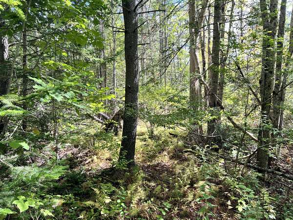 1 Acre of Residential Land for Sale in Bowdoinham, Maine