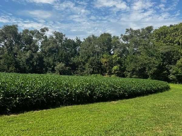 22.5 Acres of Agricultural & Residential Land for Auction in De Soto, Kansas