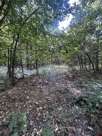 5 Acres of Land for Sale in Flippin, Arkansas