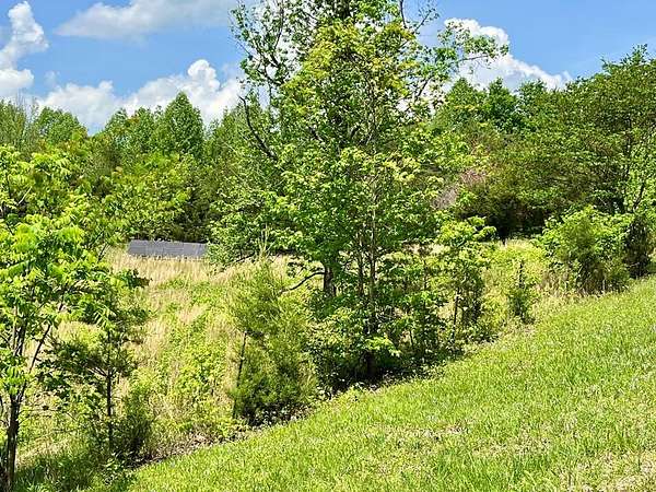 60 Acres of Recreational Land for Sale in Hilham, Tennessee