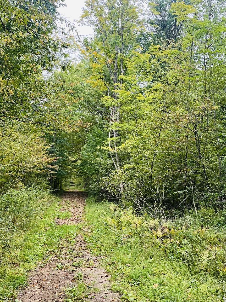 24.5 Acres of Recreational & Residential Land for Sale in Stanwood, Michigan