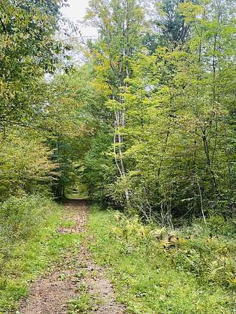 24.5 Acres of Recreational & Residential Land for Sale in Stanwood, Michigan